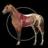  Anatomia del cavallo: Equino 3D 